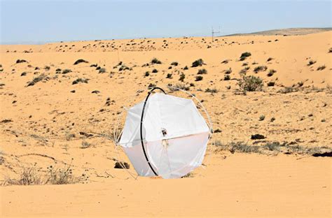 But to reproduce effectively it nee. Seed-Planting Tumbleweed Robot Draws From Nature to Fight ...