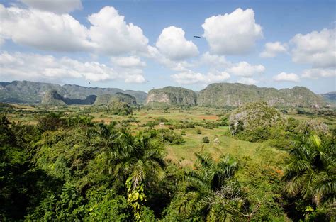 Compare prices & save money with tripadvisor (world's largest travel website). Viñales, Cuba - Go Curry Cracker!