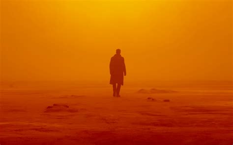 Denis Villeneuve Sees Deakins Blade Runner Influence All Over Dune