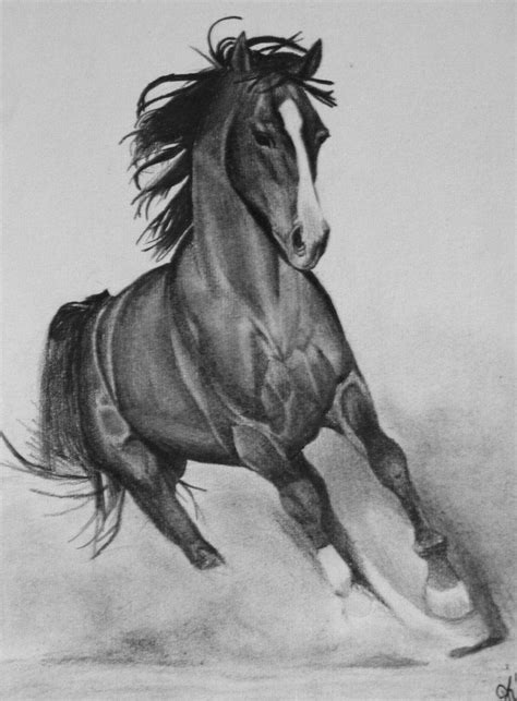 Running Horse Drawing In Pencil