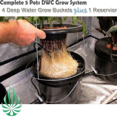 Square Pot Dwc System Harvemax Melbourne Hydroponics Warehouse Store