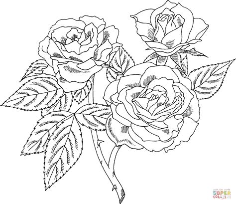 We did not find results for: Roses Coloring Pages - GetColoringPages.com