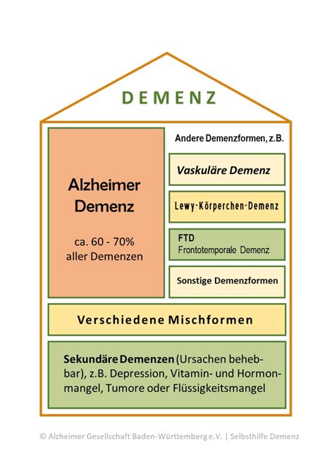 Welche Formen Von Demenzerkrankungen Gibt Es Alzheimer Gesellschaft