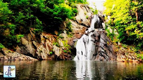 Relaxing Waterfall・planet Earth Amazing Nature Scenery・3 Hours・best