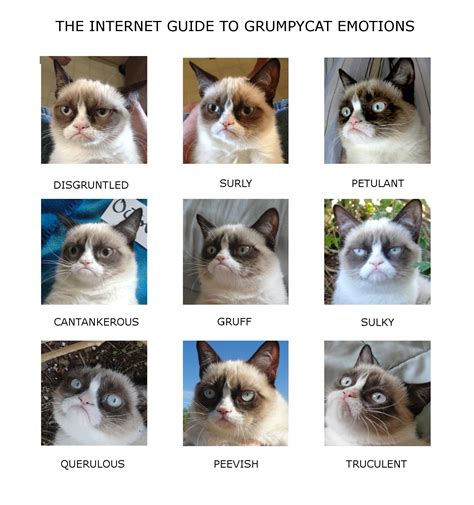 Grumpy Cat Emotion Chart Gillys Playground