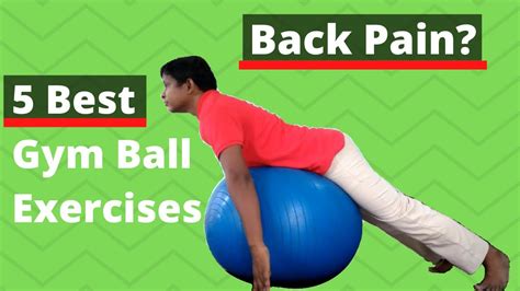 5 Best Ball Exercises For Back Pain Hindi Youtube