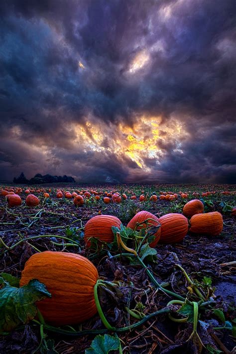 Halloween Is Near Autumn Scenery Nature Fall Pictures