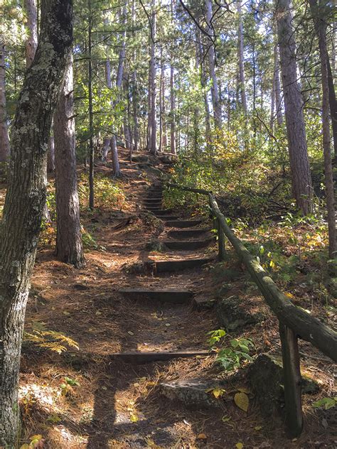 The Black River Forest Hiking To Castle Mound