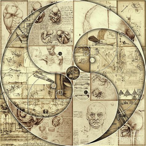 Leonardo Da Vinci Sketches Golden Ratio Yin And Yang Poster Mixed Media