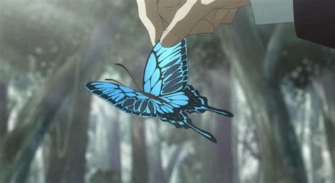 Anime Butterfly Background Randall Deluise