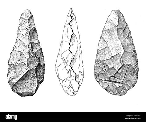 Oldowan Stone Tool Hi Res Stock Photography And Images Alamy