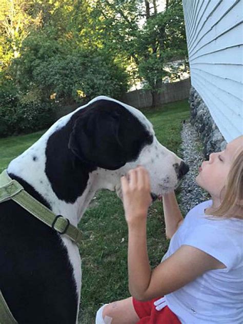 Bella Burton Loves Her Great Dane Service Dog For Morquio Syndrome