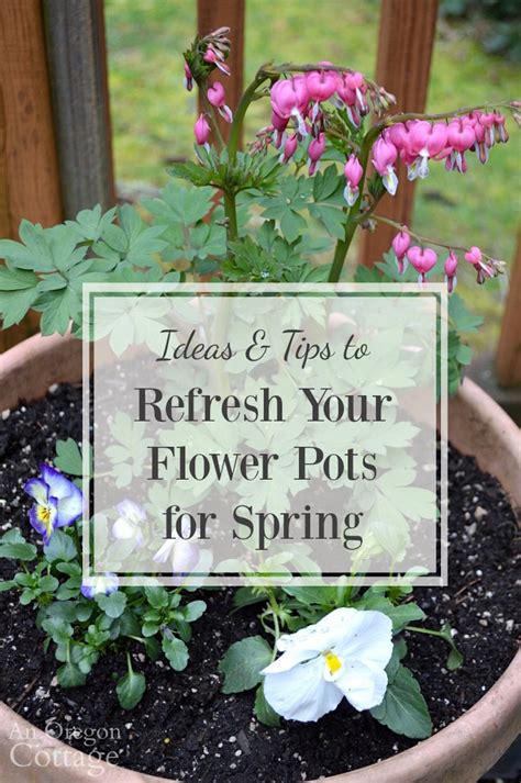 Ideas And Tips To Refresh Your Flower Pots For Spring An