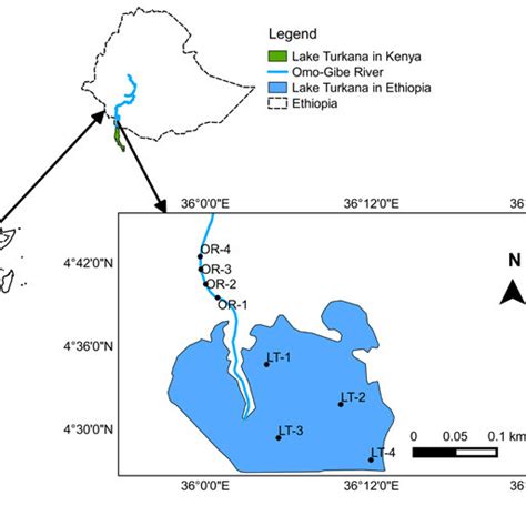 Pdf Ichthyofaunal Diversity Of The Omo Turkana Basin East Africa