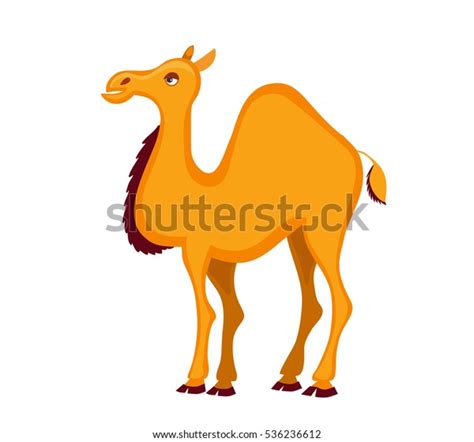 Dromedary Cartoon Camel Vector Illustration Isolated Stock Vector