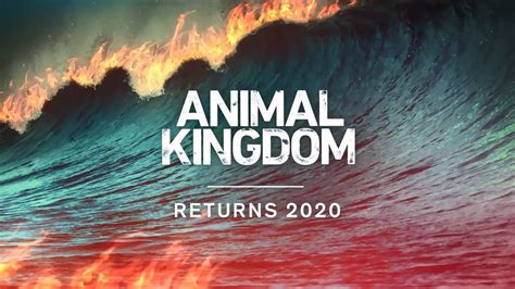 Animal Kingdom Season Five Teaser - YouTube
