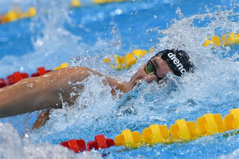 Home › athletes › gregorio paltrinieri. Gregorio Paltrinieri Bio - SwimSwam