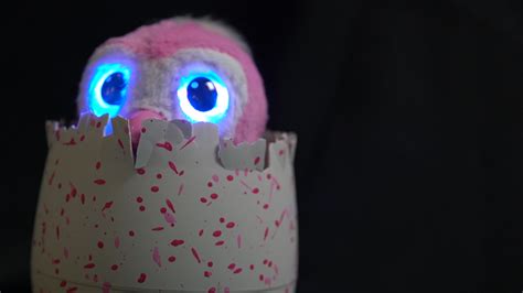 Hatchimals Are Tamagotchis Of The 21st Century Cnn Video