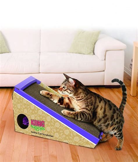 Stimulating Cat Toys For Indoor Cats Wow Blog