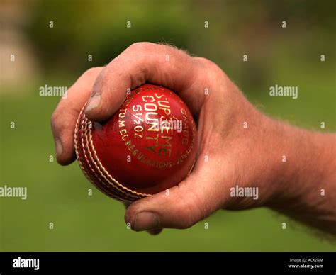 Hand Holding Cricket Ball Stock Photo Alamy
