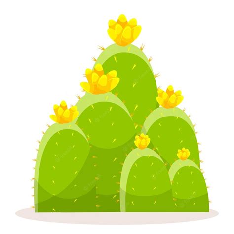 Premium Vector Set Of Cacti With Thorns And Flowers Mexican Green