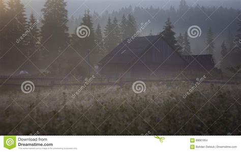 Morning Dew Fog Sun Rays In Mountains Stock Photo Image Of Flower