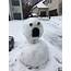 This Snowman Made Around A Mailbox  Mildlyinteresting