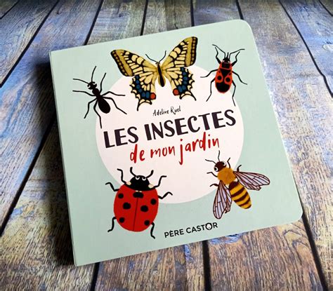 Les Insectes De Mon Jardin Liyahfr Livre Enfant Manga Shojo Bd