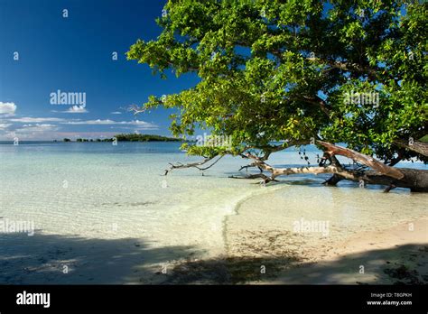 Pohnpei Island Micronesia Hi Res Stock Photography And Images Alamy