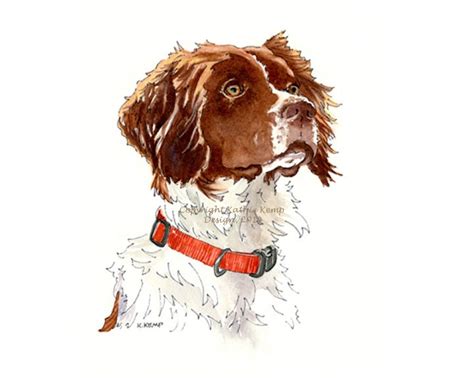 Brittany Spaniel Dog Painting Drawing Pen And Ink Watercolor