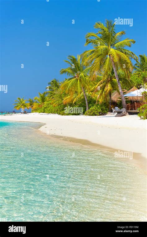 Tropical Beach Hi Res Stock Photography And Images Alamy