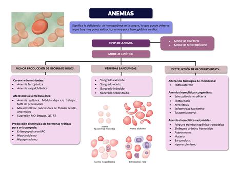 Anemias Paginas 2 4 Mapa Anemia Anemias Significa La Deficiencia De