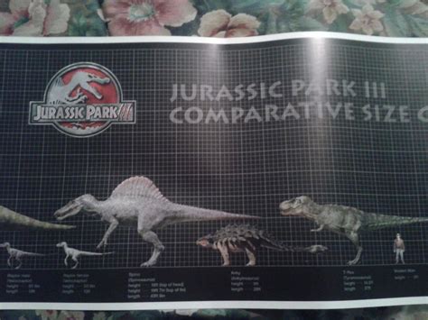 Jurassic Park 3 Rare Dino Comparative Size Chart 50x11 Poster Universal