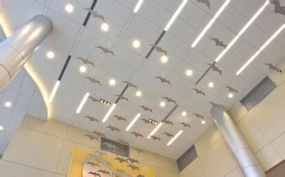 Techstyle ceiling panels feature an exceptionally smooth surface for a premium look with brighter whites, more vivid colors, and more realistically detailed wood grains. TechZone™ Ceiling Systems by Armstrong Ceiling Solutions ...