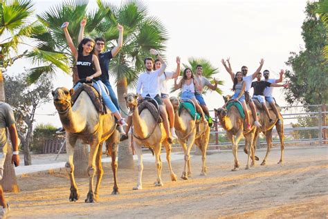 Aluzza temple, moolah temple.desert of tennessee! Camel Park Tenerfe. Camel walk, goats, donkeys, parrots ...