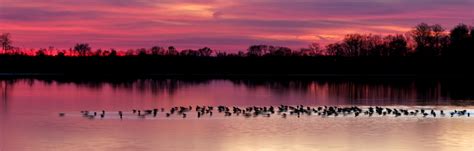 Sunrise And Sunset At Bombay Hook And Blackwater National Wildlife