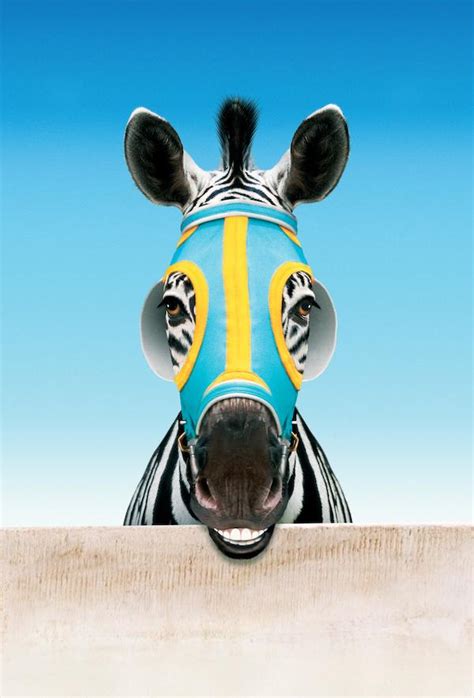 Racing Stripes 2005 Poster Us 27424050px