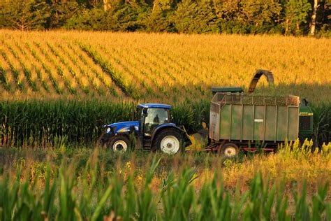 Farmland Values Drop Across The Corn Belt Iowa Public Radio