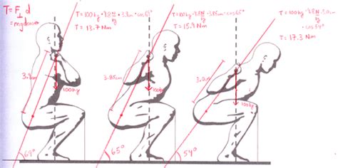 Physics Of The Squat The Physics Of Powerlifting