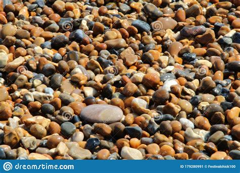 Jurrasic Coast Pebbles Dorset Uk Stock Image Cartoondealer Com