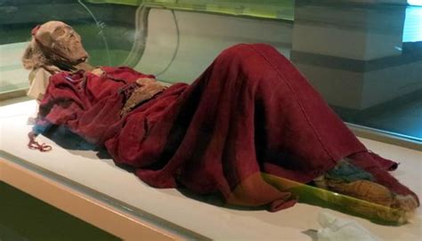 Tarim Mummy Picture Of Xinjiang Regional Museum Qu Bowuguan Urumqi