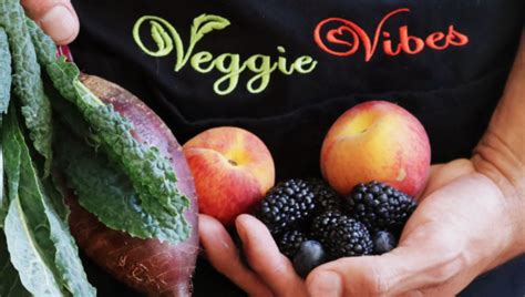Veggie Vibes Organic Raw Plant Based Meal Plans Delivered Weekly Plant Based Meal Planning