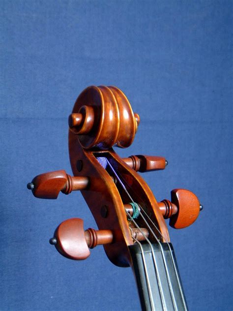 Violin By Jurek Maslanka