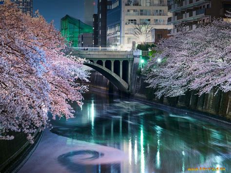 Обои Города Токио Япония обои для рабочего стола фотографии города токио япония meguro