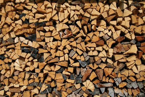 Pile Of Wood Free Photo Download Freeimages