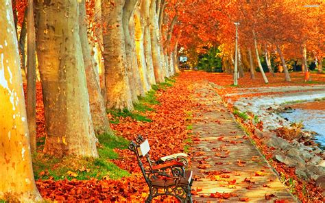 Autumn Scenery Wallpaper 57 Images