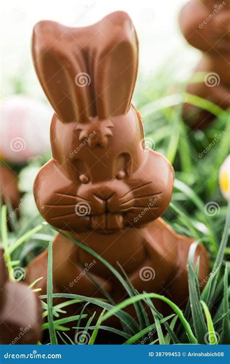 Chocolate Bunnies Stock Image Image Of Icing Indulgence 38799453