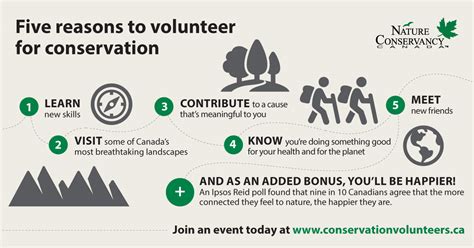 Five Reasons To Volunteer For Conservation — Nature Conservancy Of