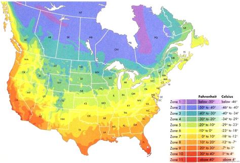 The hanging branches, which are made up of flat there are certain factors that can help — or hinder — your christmas cactus's potential. Gardening Maps - Project Plant Doctor