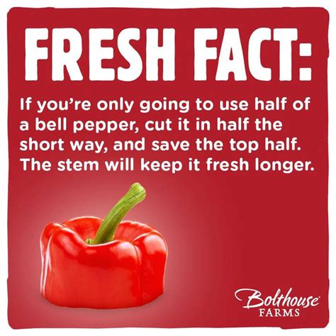 101 best images about Fun food facts on Pinterest | Facts ...